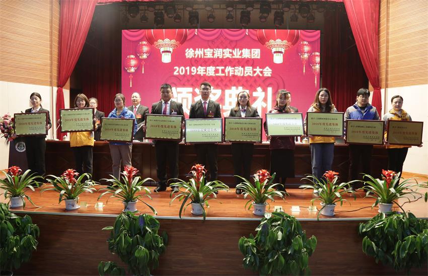 安博手机版app2019年度工作动员大会---集团公司领导为先进单位和先进个人代表颁奖