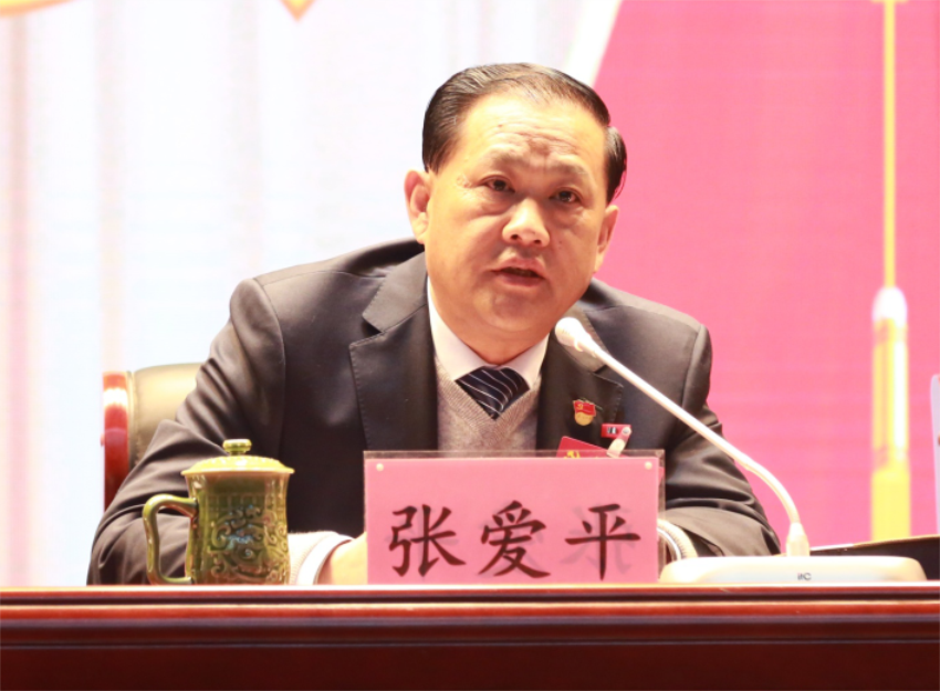 张爱平同志宣读中共安博手机版app第一届党委成员分工及纪委成员分工